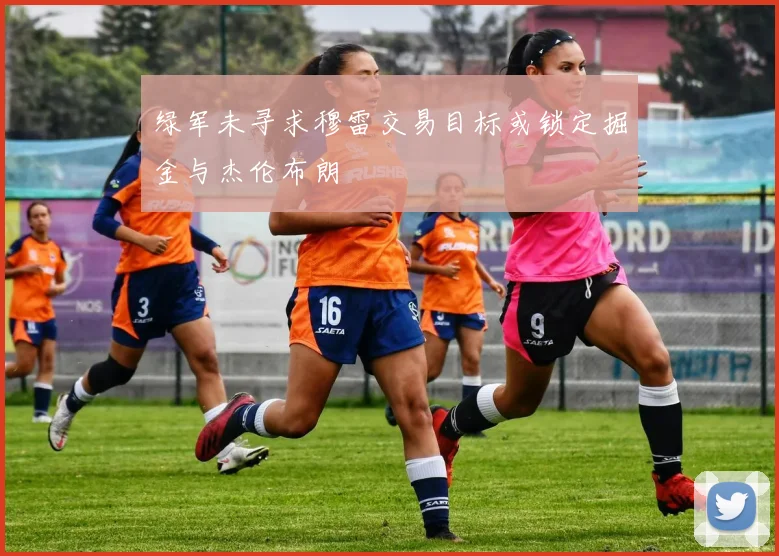 绿军未寻求穆雷交易目标或锁定掘金与杰伦布朗